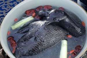 羊肉和醋不能一起食用