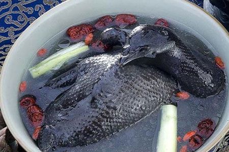 羊肉和醋不能一起食用